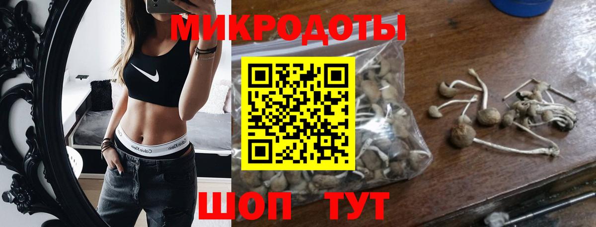 Мурманск  где купить наркотик  Вход с VPN  Галлюциногенные грибы прущие грибы 